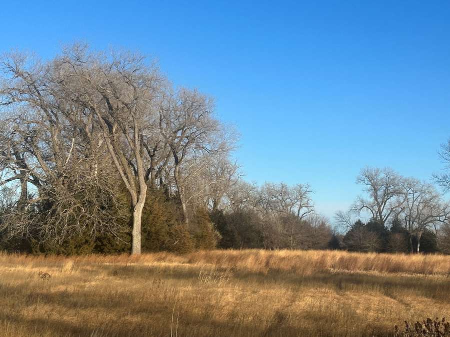 12.06 +/- Acres, Holt County, NE